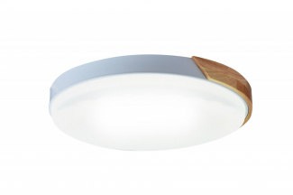 Потолочный светильник Wood H822-8